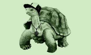 fig. b - Galapagos Tortoise (a.k.a. G. Tizzy)